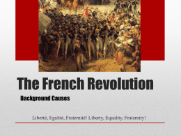 FrenchRev Causes