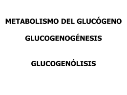 met_glucógeno - Bioquímica grupo 4 FQ UNAM