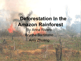 Deforestation In the Amazon Rainforest