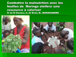 Combattre la malnutrition avec les feuilles de moringa
