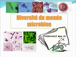 Le monde microbien est constitué de micro