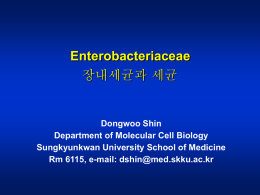 병원성세균학(대학원)_Enterobacteriacea(2)