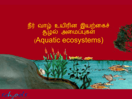 tamil_pp_7_-_aquatic_ecosystems