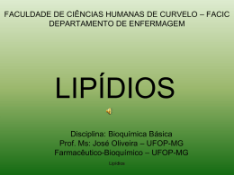 Lipídios - Enfermagem 2013.