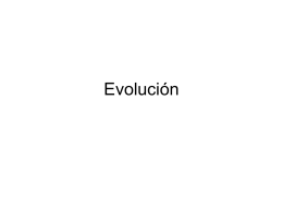21-03 Evolución resumida