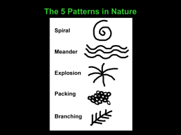 Five Patterns in Nature