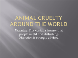 Animal Cruelty Around The World