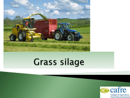 Silage Dry Matter Conversion factor