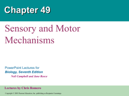 Sensory & Motor Mechanisms