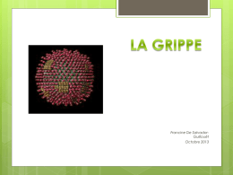 LA GRIPPE - ifsi du chu de nice 2012-2015