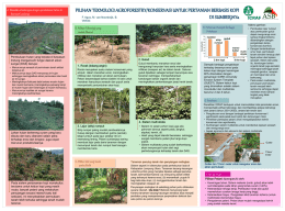 4. Sistem multi strata - World Agroforestry Centre