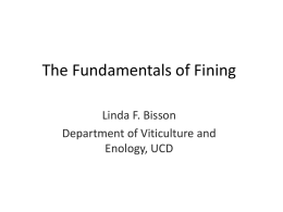The Fundamentals of Fining
