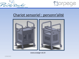Chariot sensoriel (6 Mo)