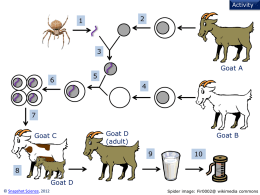 spider-goat - Snapshot Science
