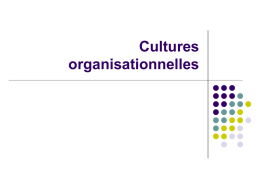 Culture et organisation