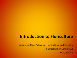 Introduction to Floriculture - Flower Industry