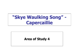 Skye Waulking Analysis