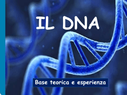 IL DNA - Liceo Scientifico Volta