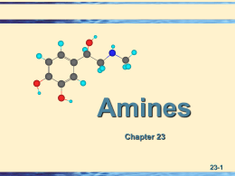 23 Amines