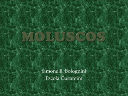 MOLUSCOS - Webnode