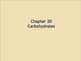 Chapter 20 Carbohydrates
