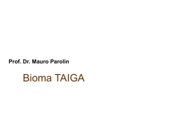 taiga2014 - Mauro Parolin