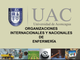 Organizaciones Nacionales de Enfermer&iacute;a