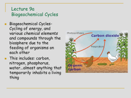 Carbon Cycle - Department of Soil, Water, and Climate