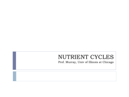NUTRIENT CYCLES