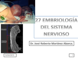 c1 embriología del sistema nervioso
