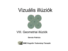 Vizualis_illuziok_Geometria