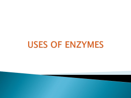 USES OF ENZYMES