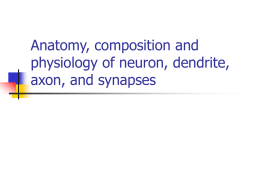 Anatomy, composition and physiology of neuron, dendrite, axon,and