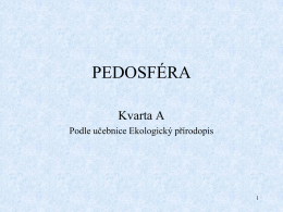 Pedosféra 1