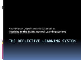 The Reflective Learning System