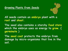 Plants