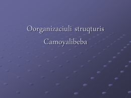 Organizaciuli struqturis Camoyalibeba