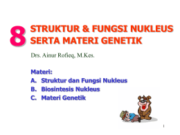 A. Struktur & Fungsi Nukleus