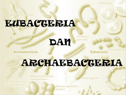 eubacteria dan archaebacteria