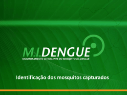 Slide 1 - admin.araguari.mg.gov.br