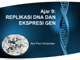 Asri no Ajar 9 Replikasi DNA dan Ekspresi Gen
