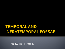 TEMPORAL FOSSA AND INFRATEMPORAL FOSSA