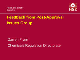 Feedback from Post-Approval Issues Group (Flynn) ( 590Kb)