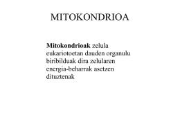 MITOKONDRIOA