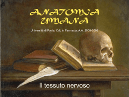 Lezione 5 - Università degli Studi di Pavia