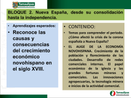 2.- El auge de la economia novohispana