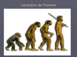 L`évolution de l`homme