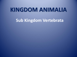 KINGDOM ANIMALIA - SMA Negeri 2 Balikpapan