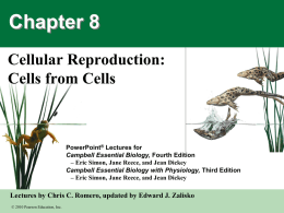 Lecture Slides