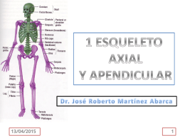 1. esqueleto axial y apendicular